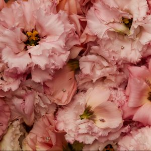 pink flowers with jewels on petals