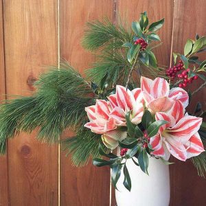 Hello Flowers Holiday Theme Arrangement