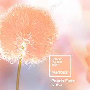 Pantone's Color of the Year Is Just Peachy & So Are These Items