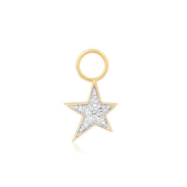 Eriness star charm