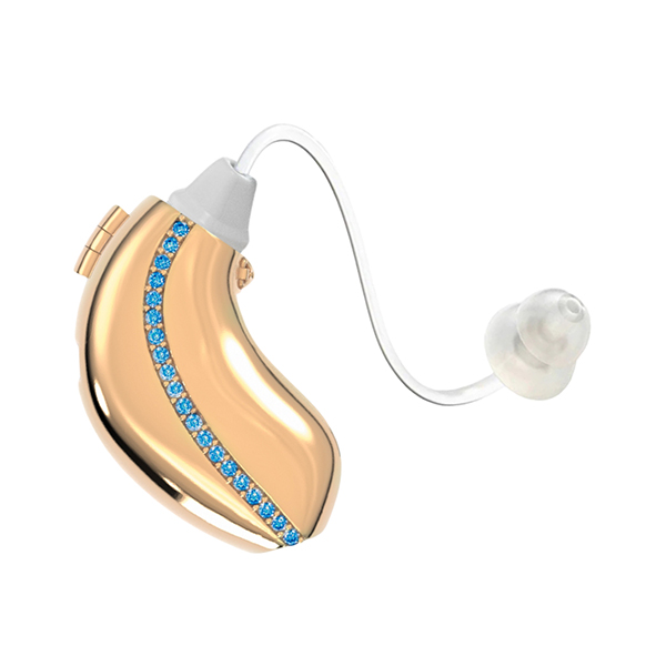 Auzi hearing aid case