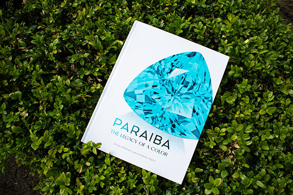 Paraiba book cover