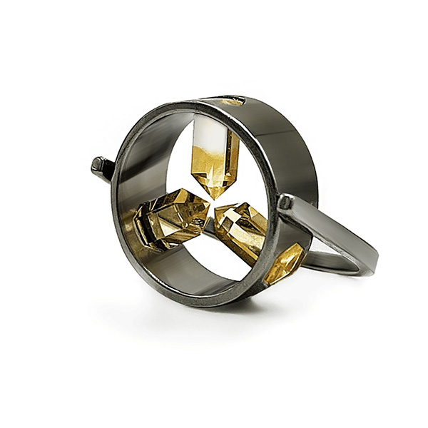 Renata Cambauva Portal Ring