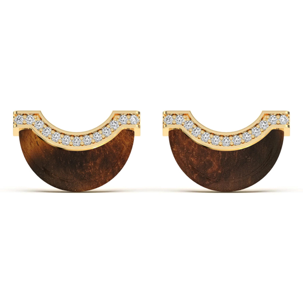 Wyld Box tigers eye studs